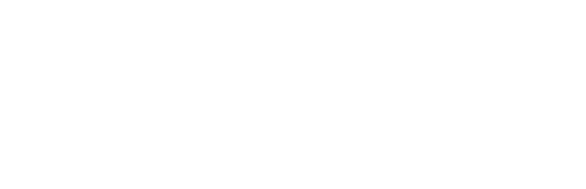 별이 되어라2: 베다의 기사들