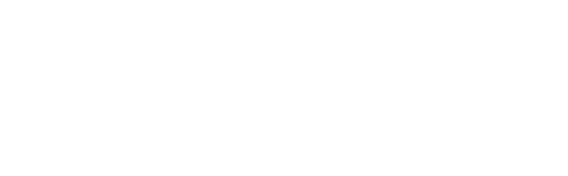 별이 되어라2: 베다의 기사들